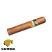 Charuto Cohiba robustos ribeirão preto
