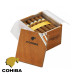 Charuto Cohiba robustos ribeirão preto