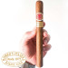 Charuto Romeo y Julieta Churchills ribeirão preto
